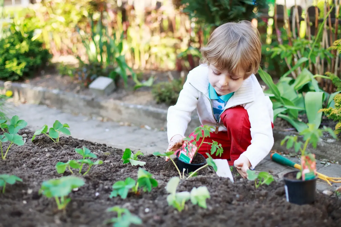 task44 A young child is digging in the dirt.